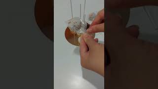 🤩👉 Cake Pops súper fácil shorts repostería cakes cakepop cakepops [upl. by Gasparo427]