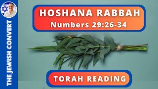 HOSHANA RABBAH TORAH READING in Hebrew with English Translation  TORAH STUDY [upl. by Zere]