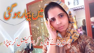 new vlog  Main bimar par gai pasta making plane cancel  village life day [upl. by Dorella204]