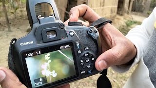 CANON 1200D CAMERA PHOTO TEST AND REVIEW ALL CAMERA [upl. by Daberath]