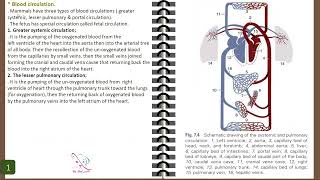 02 veterinary anatomy Cardiovascular system comparative anatomy of heart part 2 2 [upl. by Nalahs424]