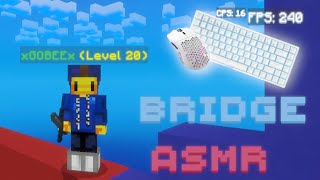 The Most RELAXING Hive Bridge Keyboard and Mouse ASMR [upl. by Mahalia358]