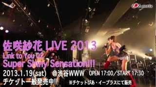 佐咲紗花LIVE2013 Link to You 02 〜Super Shiny Sensation〜 [upl. by Philemon544]