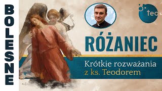 Różaniec Teobańkologia  krótkie rozważania z ks Teodorem  TAJEMNICE BOLESNE [upl. by Callahan]