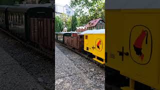 Zeugkreuzung V51 Öchsle und 2095 der ÖBB  3 Tage Fahrtag auf der Esslinger Gartenbahn [upl. by Akkin]