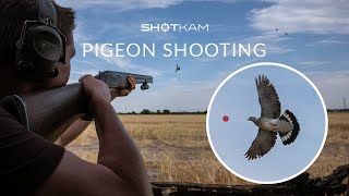 Decoying Pigeons ShotKam Gen 3 Videos [upl. by Yran]