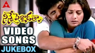 Nathora Thamashalato Video Song  Ninne Pelladatha Movie  NagarjunaTabu [upl. by Skerl]