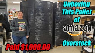 Unboxing a Pallet of Brand New Amazon overstock that bought for 100000 CHECK OUT WHAT WE GOT [upl. by Armitage170]