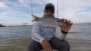 Cut Bait Tips For Catching Redfish [upl. by Treblihp]