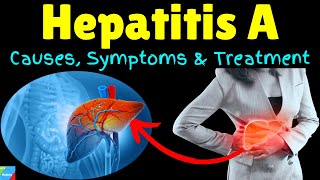 Hepatitis A – Symptoms Causes Risk Factors Pathophysiology Diagnosis Treatment [upl. by Wulf]