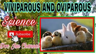 VIVIPAROUS and OVIPAROUS ANIMALS  Science for kids [upl. by Kerwinn]