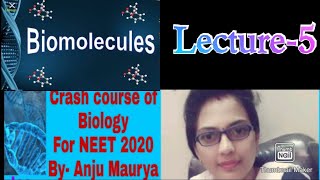 Rapid Revision of Biomolecules Enzymes Part2Lecture5NEET 2020ByAnju Maurya [upl. by Kask]