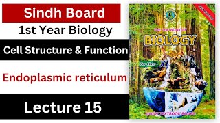 endoplasmic reticulum  cell structure and function  class 11 biology Sindh board new book [upl. by Arhna890]