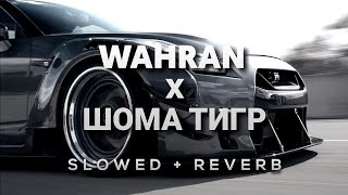 Randall Wahran x Asanrap Шома тигр Slowed  Reverb [upl. by Bennet]