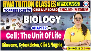 Class 11 Biology Chapter 8 Cell  The Unit Of Life  Ribosome Cytoskeleton Cilia amp Flagella [upl. by Letsyrk]