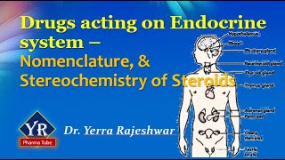 Drugs acting on Endocrine system  Nomenclature amp Stereochemistry of Steroids  R Pharma Tube [upl. by Ttoille]