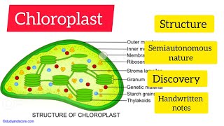 chloroplast structure discoverysemi autonomous nature hpu handwrritenotes cellbiology [upl. by Eelatan]