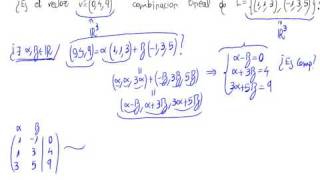 ¿Es Combinación lineal [upl. by Leta]
