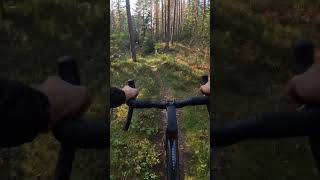 Gravel bike on the trails gravelride gravelcycling gravelbike cycling orbea norway [upl. by Melesa]