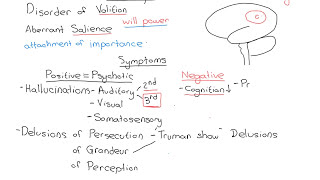 Schizophrenia Part 2 [upl. by Rozalin904]