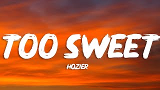 Hozier  Too Sweet Lyrics [upl. by Lavinia]