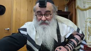 Is wearing a sheitel enough or is it better to use a tichel or mitpachat  Daily Halacha Shiur [upl. by Sheryle]