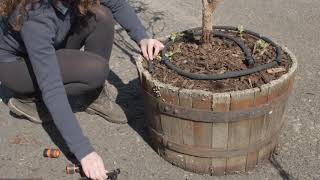 How to Water a Tree With Soaker Hose [upl. by Serg]