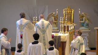 Latin Novus Ordo Mass—Eucharistic Prayer [upl. by Ellerret]