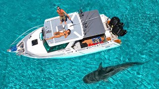 DAY 77 AT SEA Huge Tiger Shark at Remote Island [upl. by Niraa]