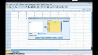 Alfa de Cronbach con SPSS [upl. by Martinic]