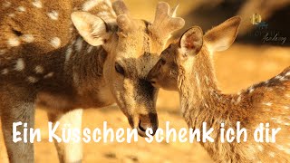 Ein Küsschen schenk ich dir [upl. by Imorej]