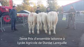 concours de bovins reproducteurs charolais à Montluçon 2018 [upl. by Clerk]