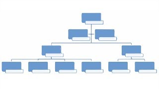 11 Il nuovo organigramma [upl. by Kela]