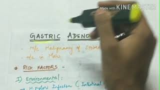 gastric adenocarcinoma  pathology  etiology  morphology  microscopy [upl. by Noirb331]