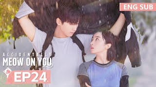 ENG SUB《一不小心喵上你 Accidentally Meow On You》EP24——邢昭林，胡冰卿  腾讯视频青春剧场 [upl. by Reiser273]