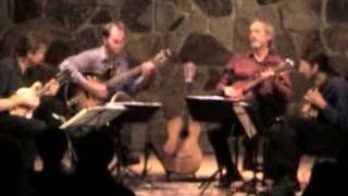 Modern Mandolin Quartet plays Aria Villa Lobos [upl. by Mccallum875]