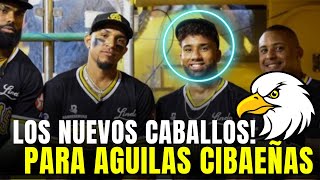 Aguilas Cibaeñas Van con Todo Refuerzos de Élite para Ganar la Corona 23 en LIDOM 🏆 [upl. by Brucie]