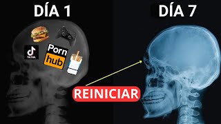 Reprograma tu mente para el éxito Sólo lleva 7 días  Dr Joe Dispenza [upl. by Gastineau779]