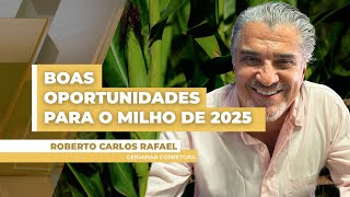 Negócios enfraquecidos no final de ano seguram preço do milho mas há boas oportunidades para 2025 [upl. by Alleusnoc230]