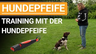 🐕🐶 Stephanie Salostowitz ➡️ Training mit der Hundepfeife ➡️ Praxisvideo 🐕🐶✔️ [upl. by Sukramal]