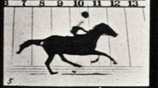 Meet the Art  Eadweard Muybridge Photographs of Motion [upl. by Ib93]