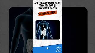 ¿Cómo se debe de tomar la levotiroxina [upl. by Denman]