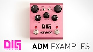 Strymon DIG  ADM Audio Examples  Dual Digital Delay [upl. by Rogergcam]