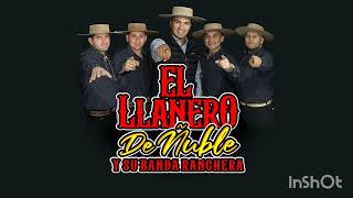 EL FAENERO el llanero de Ñuble y su banda ranchera 2024 [upl. by Ramilahs]