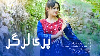 New Hazaragi Song  Salman Hamdard  Yar Dam Badam آهنگ جدید هزارگی  یار دم بدم سلمان همدرد [upl. by Alihs974]