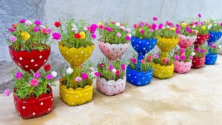 Ideas to recycle plastic bottles to make beautiful twotiered flower pots [upl. by Mahau712]