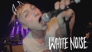 The White Noise  Cosmopolitician Live Video [upl. by Busiek]