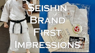 Seishin Gi First Impressions [upl. by Ariait]