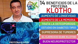 14 BENEFICIOS😮de proteína❤️💪KLOTHO💪❤️LONGEVIDAD👏MEMORIA🧠COVID DIABETES I🧁SENOLÍTICO👍HUESOS🦴ALZHEIMER [upl. by Ylatfen162]