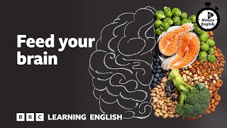 Feed your brain ⏲️ 6 Minute English [upl. by Nnairrek]